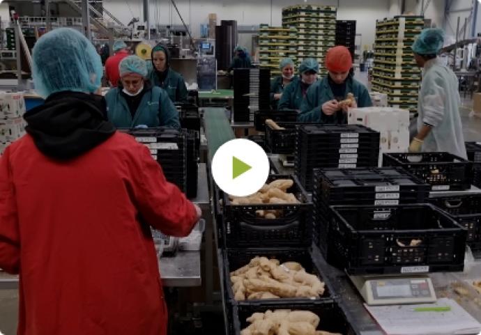 Video Jiahe Food GmbH