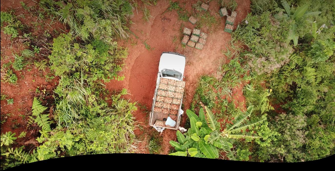 Von der Aussaat bis zur Ernte