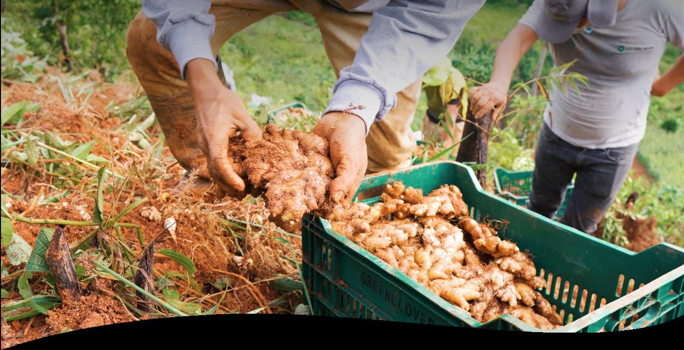 Wir von Jiahe Food freuen uns auf den Kontakt mit Ihnen