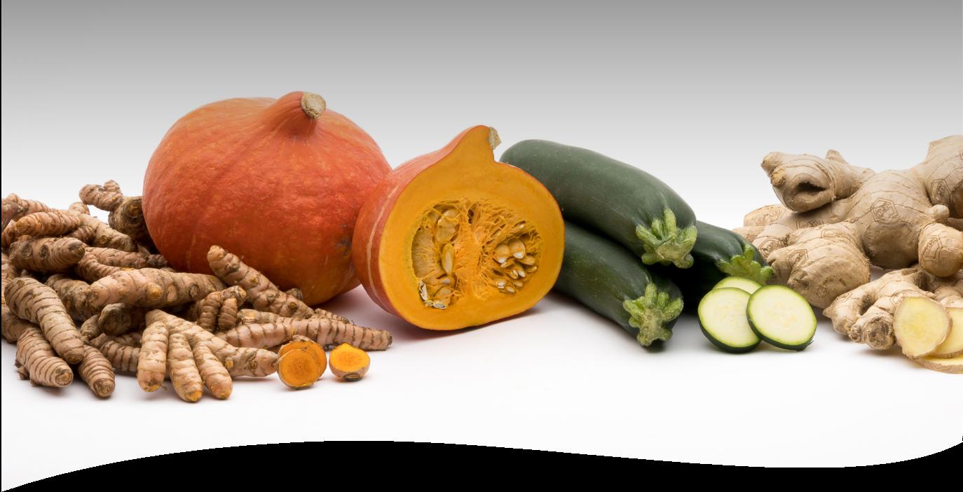 Bio-Süßkartoffeln vom größten Erzeuger Israels