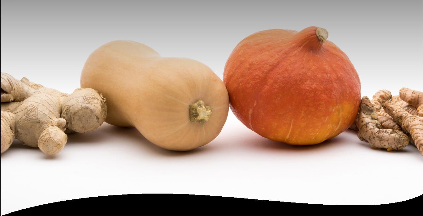 Als Teil der Jiahe Group sind hier erfahrene Frische-Fachleute am Werk