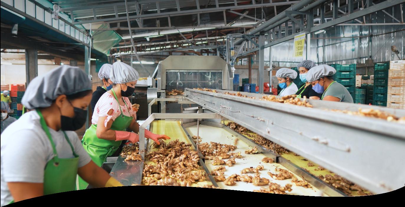 Leidenschaft und nachhaltiges Handeln über den gesamten Produktionsweg